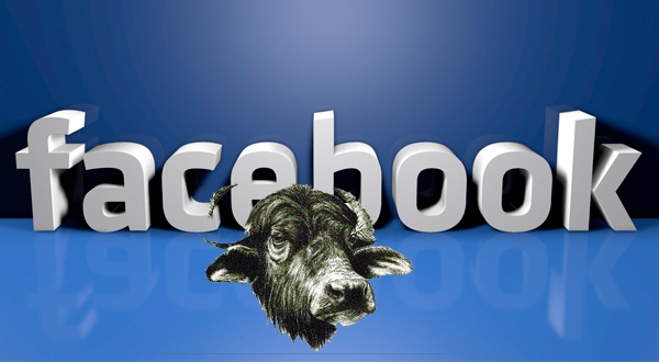 social facebook-bufale-web
