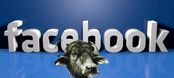 social facebook-bufale-web